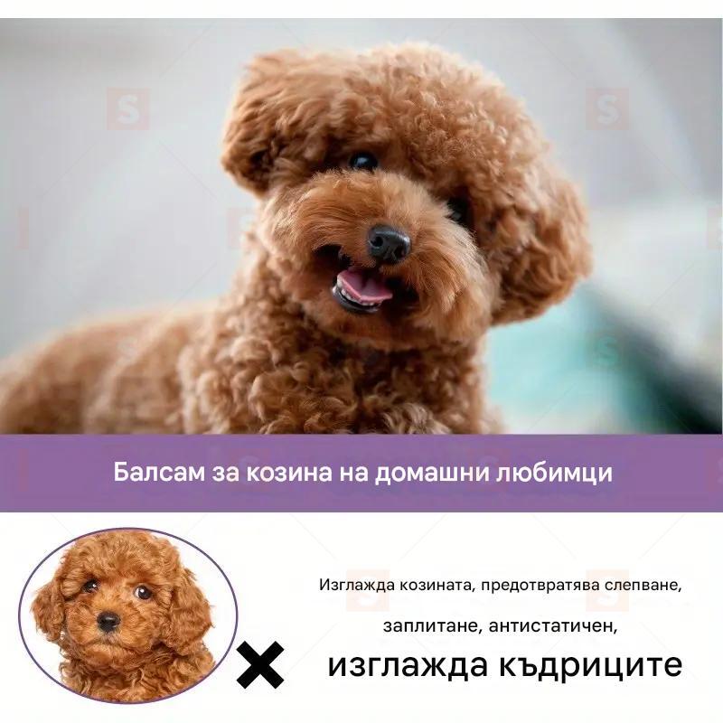 Защита на козината на домашните любимци, грижа за козината, грижа за козината на котките и кучетата, почистване