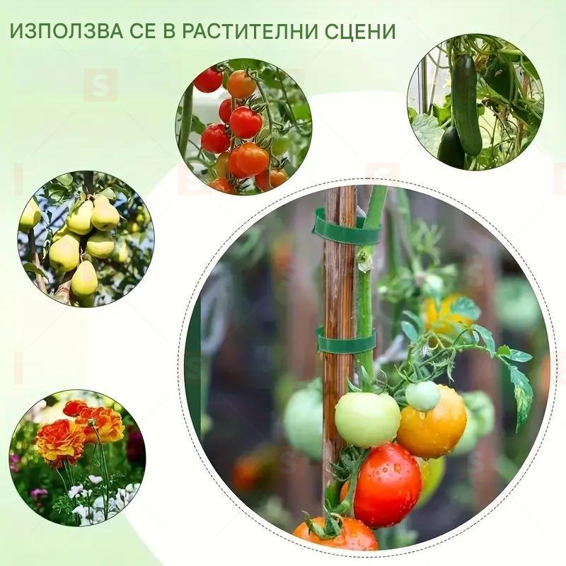 Регулируеми зелени найлонови връзки за растения – Многократни ленти с метални капси и велкро закопчаване за катерещи се растения, градинарство и декорации